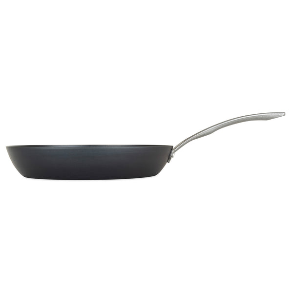 http://www.vikingculinaryproducts.com/cdn/shop/products/40341-111212inCarbonSteelFry_07_grande.jpg?v=1675116547