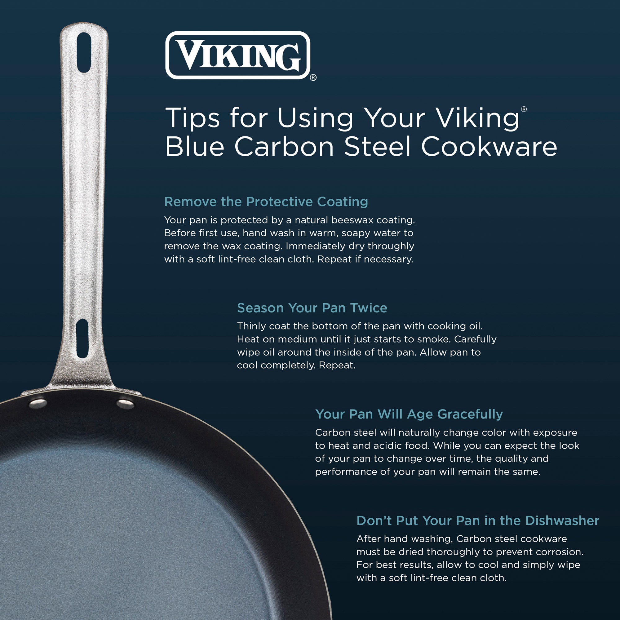 Viking Cast Iron 10 Fry Pan